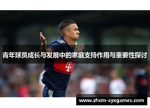 青年球员成长与发展中的家庭支持作用与重要性探讨