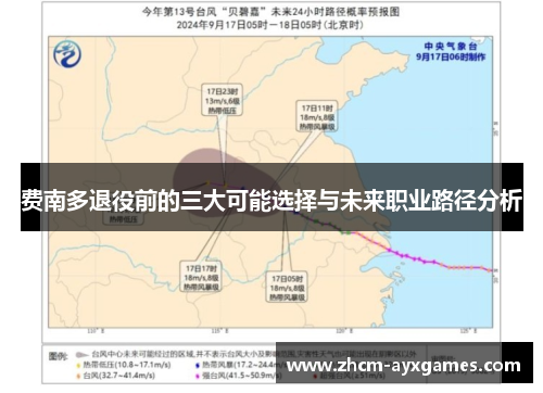 费南多退役前的三大可能选择与未来职业路径分析