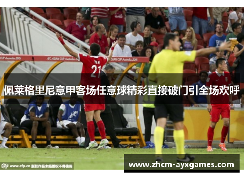 佩莱格里尼意甲客场任意球精彩直接破门引全场欢呼 佩莱格里尼意甲客场任意球精彩直接破门引全场欢呼